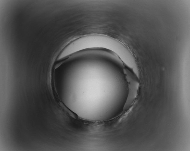 X0000089700148200707121400