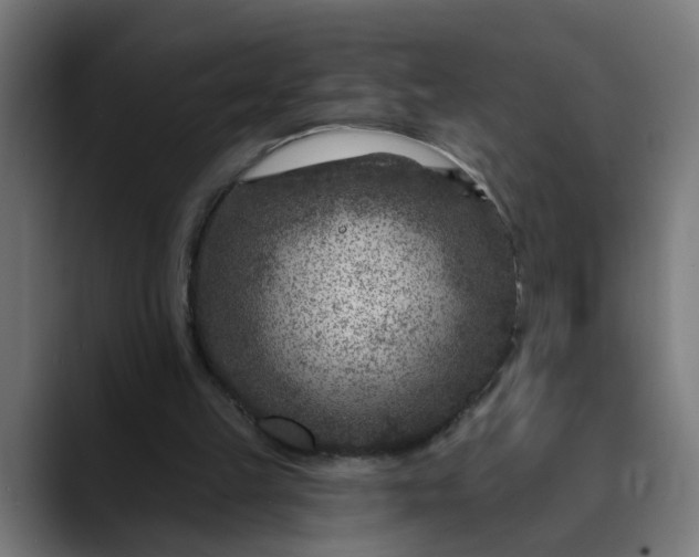 X0000089700149200707121400