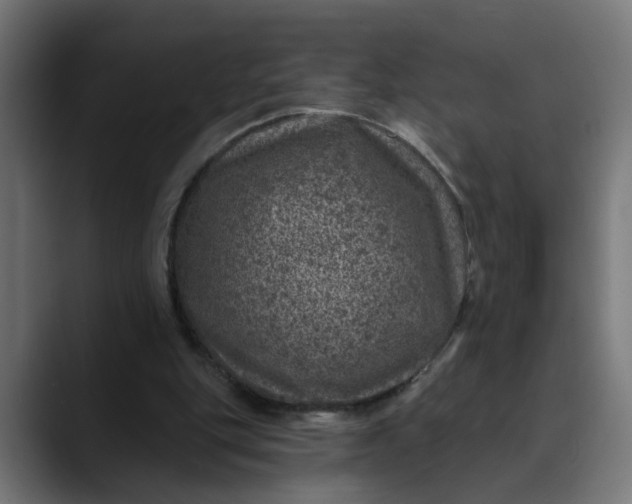 X0000089700151200707121400