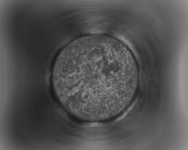 X0000089700153200707121400