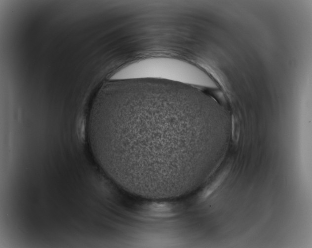 X0000089700157200707121400