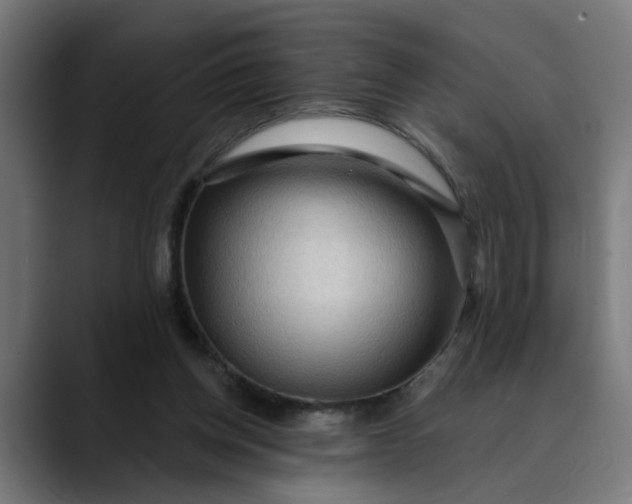 X0000089700158200707121400