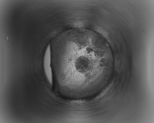 X0000089700161200707121400