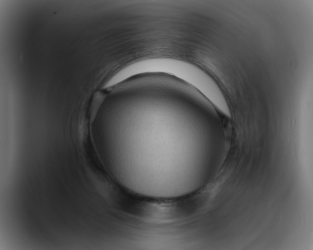 X0000089700164200707121401