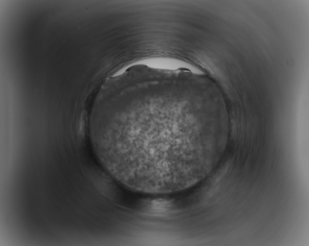 X0000089700165200707121401