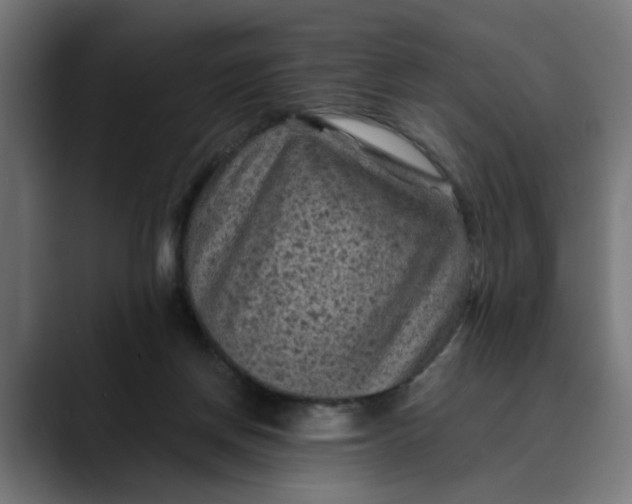 X0000089700166200707121401