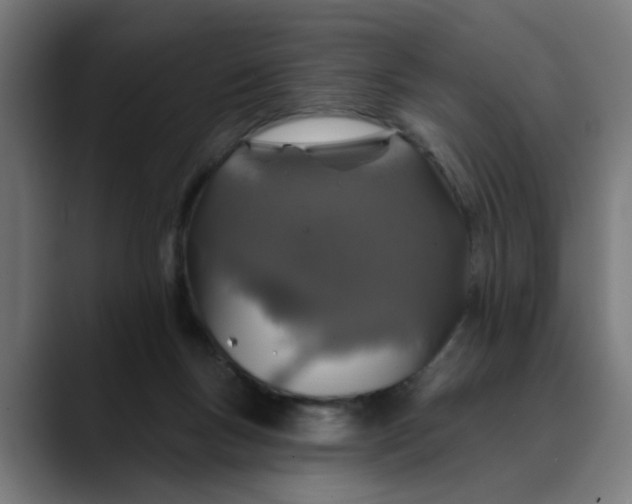 X0000089700167200707121401