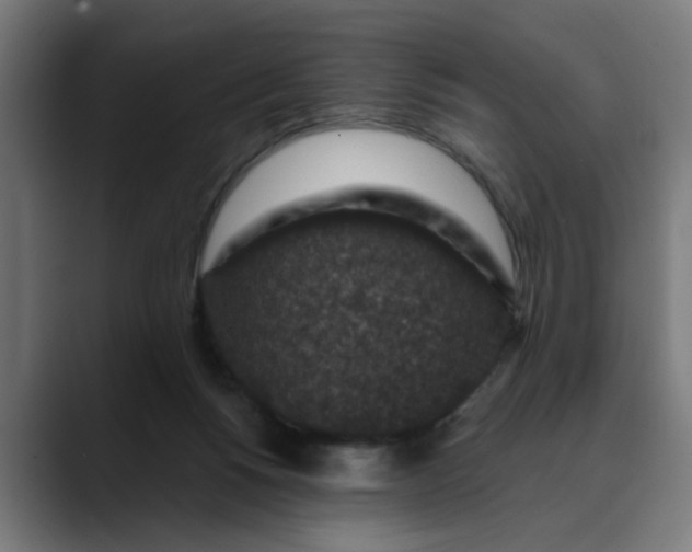 X0000089700168200707121401