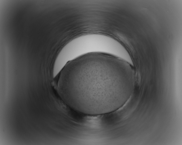 X0000089700170200707121401