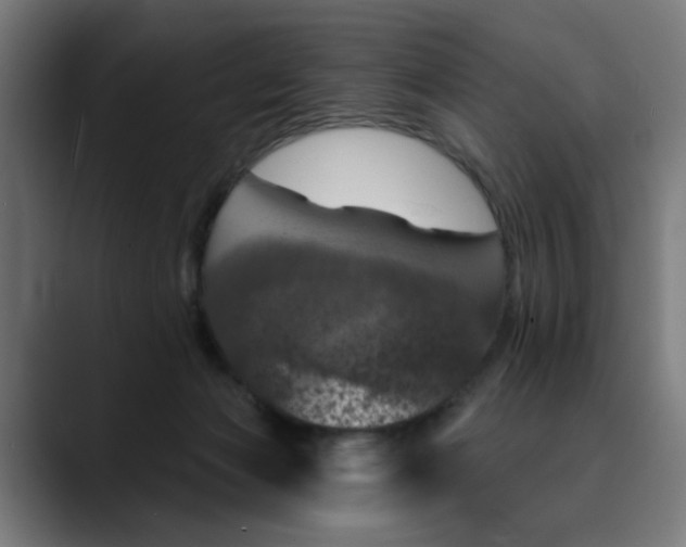 X0000089700173200707121401