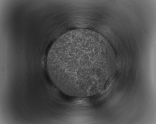 X0000089700175200707121401