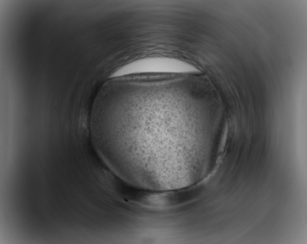 X0000089700178200707121401