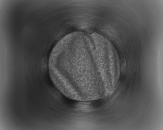 X0000089700179200707121401