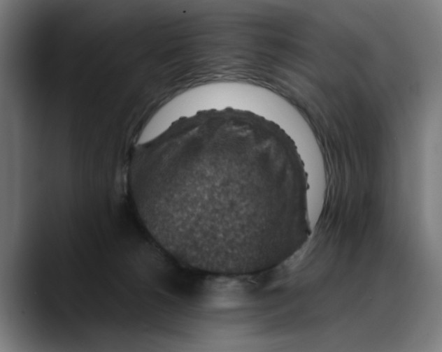 X0000089700180200707121401