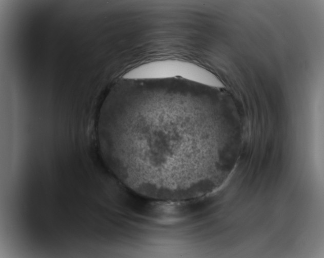 X0000089700182200707121401