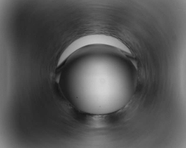 X0000089700184200707121401