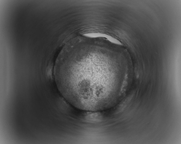 X0000089700185200707121401