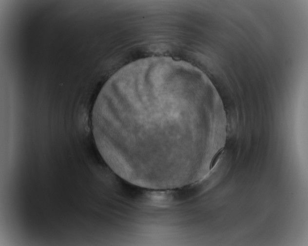 X0000089700187200707121401