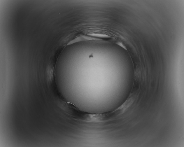 X0000089700188200707121401