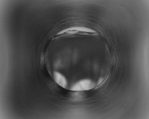 X0000089700191200707121401