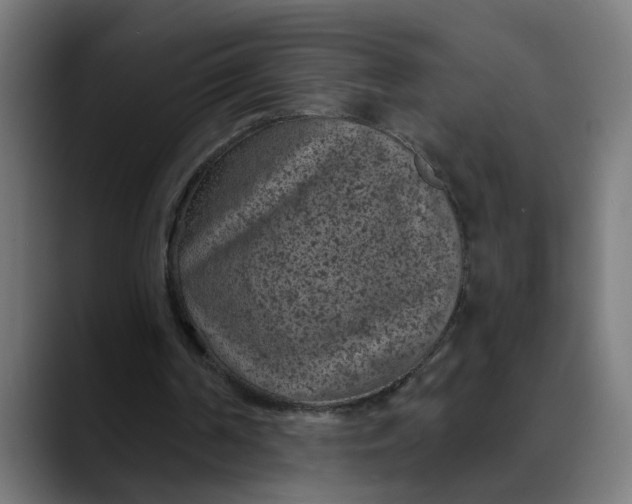 X0000089700194200707121400