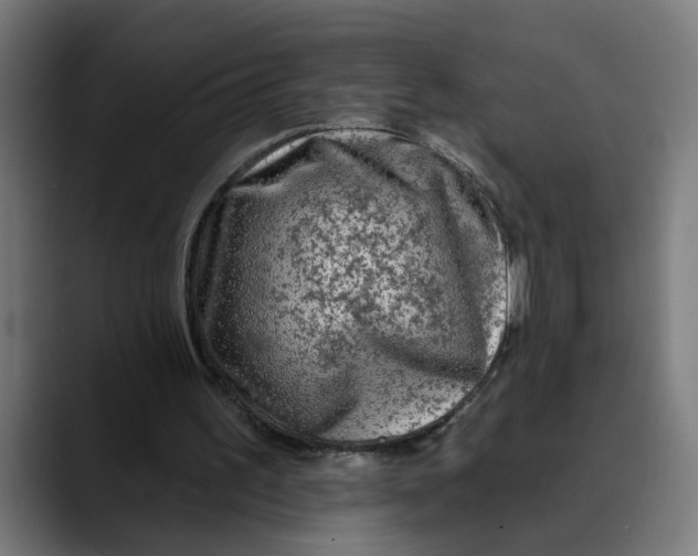 X0000089700195200707121400