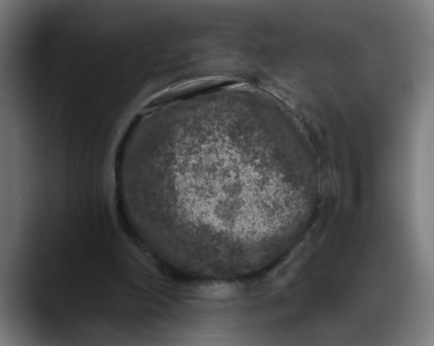 X0000089700198200707121400