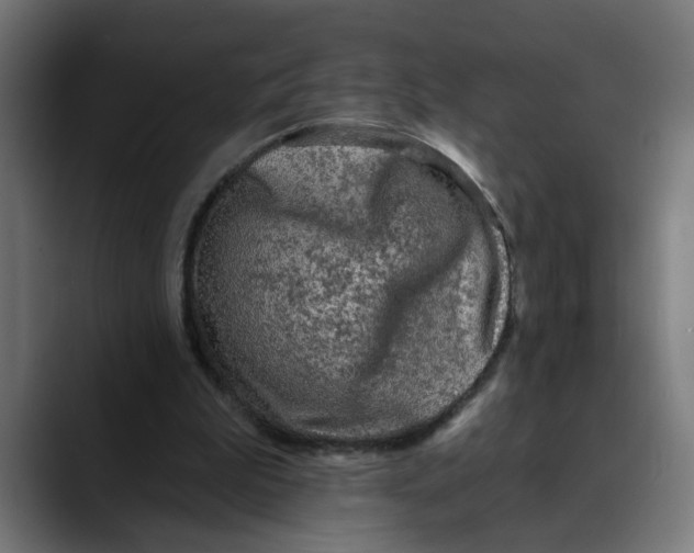 X0000089700199200707121400