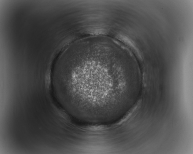 X0000089700202200707121400