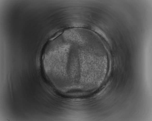 X0000089700203200707121400