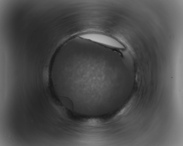 X0000089700204200707121400