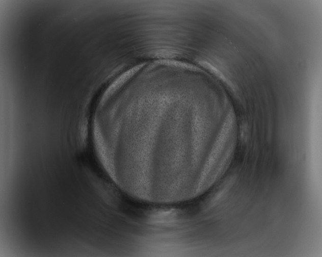 X0000089700206200707121400