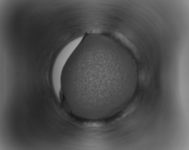 X0000089700209200707121400