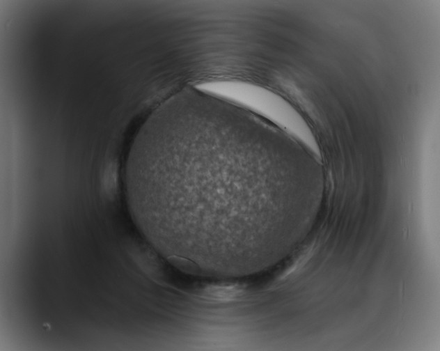 X0000089700213200707121400