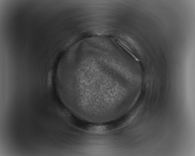 X0000089700217200707121400