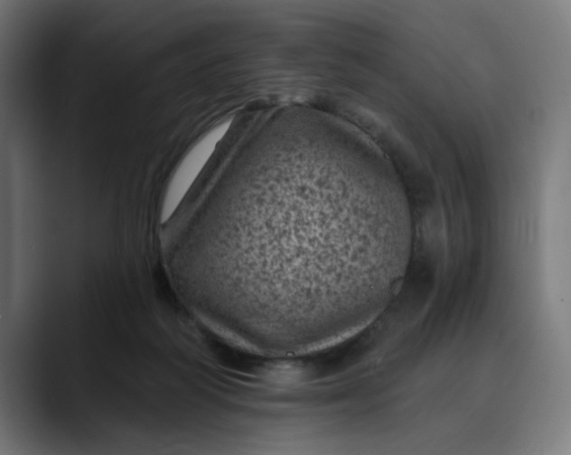 X0000089700218200707121400