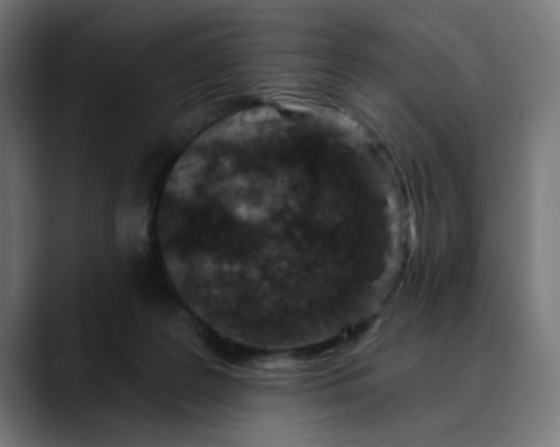 X0000089700219200707121400