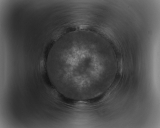 X0000089700222200707121400