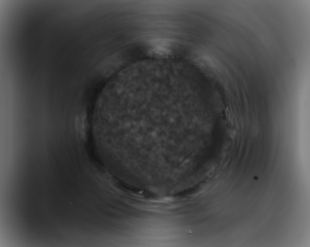 X0000089700223200707121400