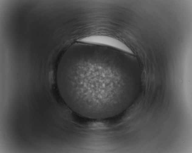 X0000089700224200707121400