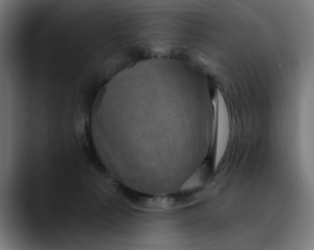 X0000089700225200707121400