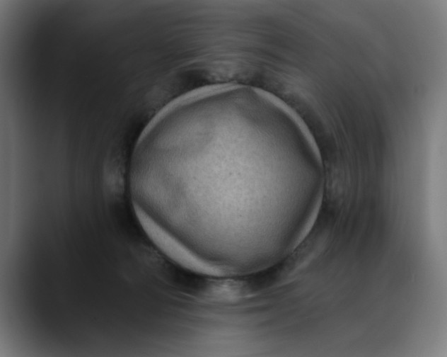 X0000089700226200707121400