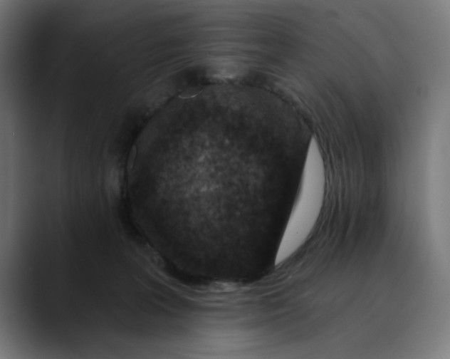 X0000089700227200707121400