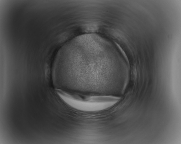 X0000089700228200707121400