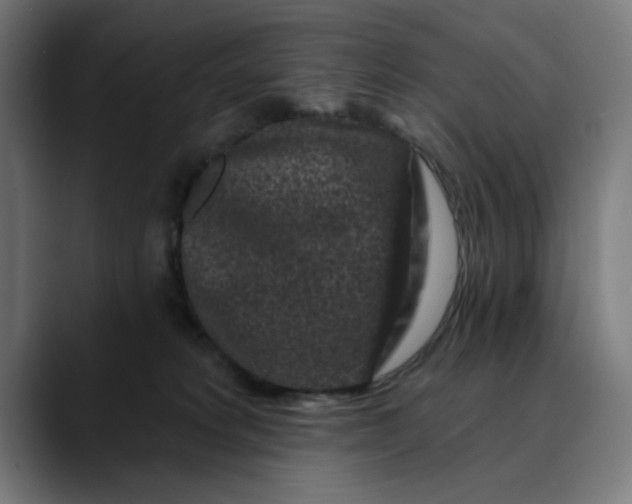 X0000089700229200707121400