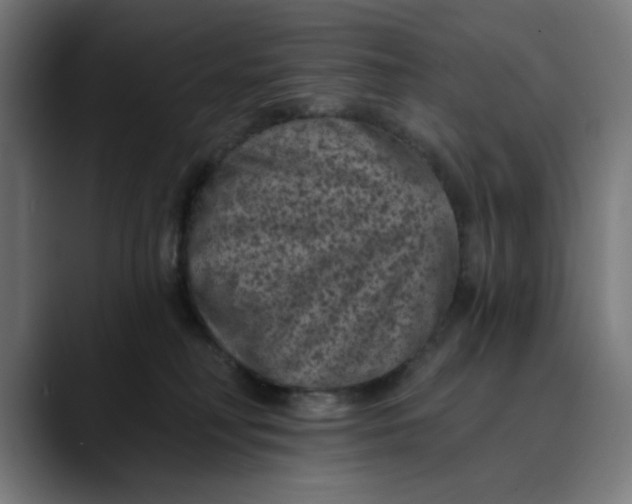 X0000089700230200707121400