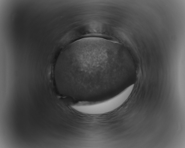 X0000089700233200707121400