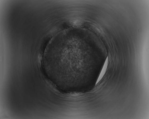 X0000089700235200707121400