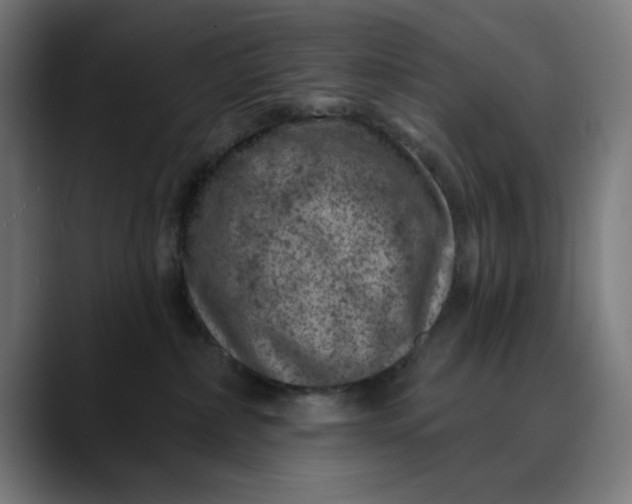 X0000089700236200707121400