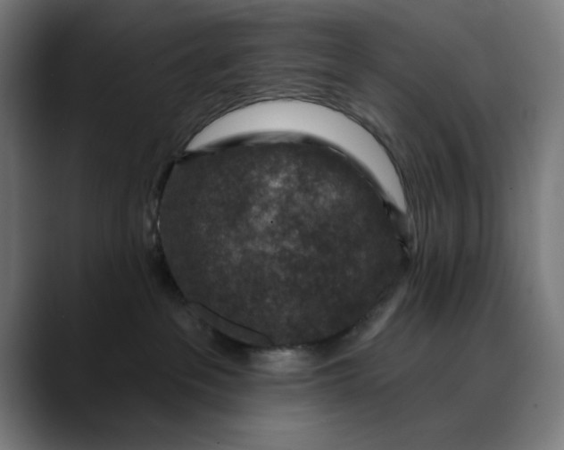 X0000089700237200707121400